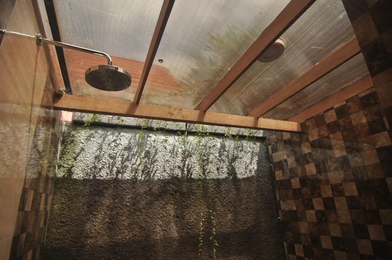 Guest house Dedeane Ubud
